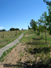 walking trail