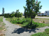 walking trail